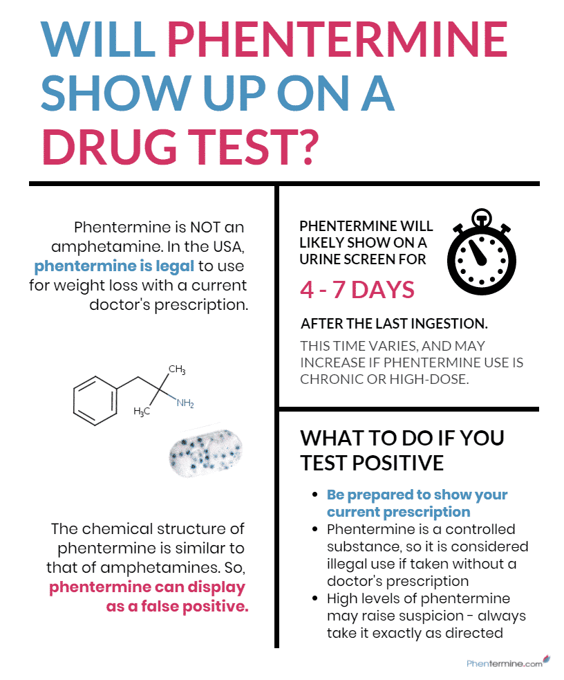 drug tests and phentermine infographic