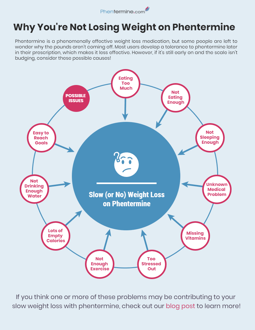 why you're not losing weight with phentermine infographic
