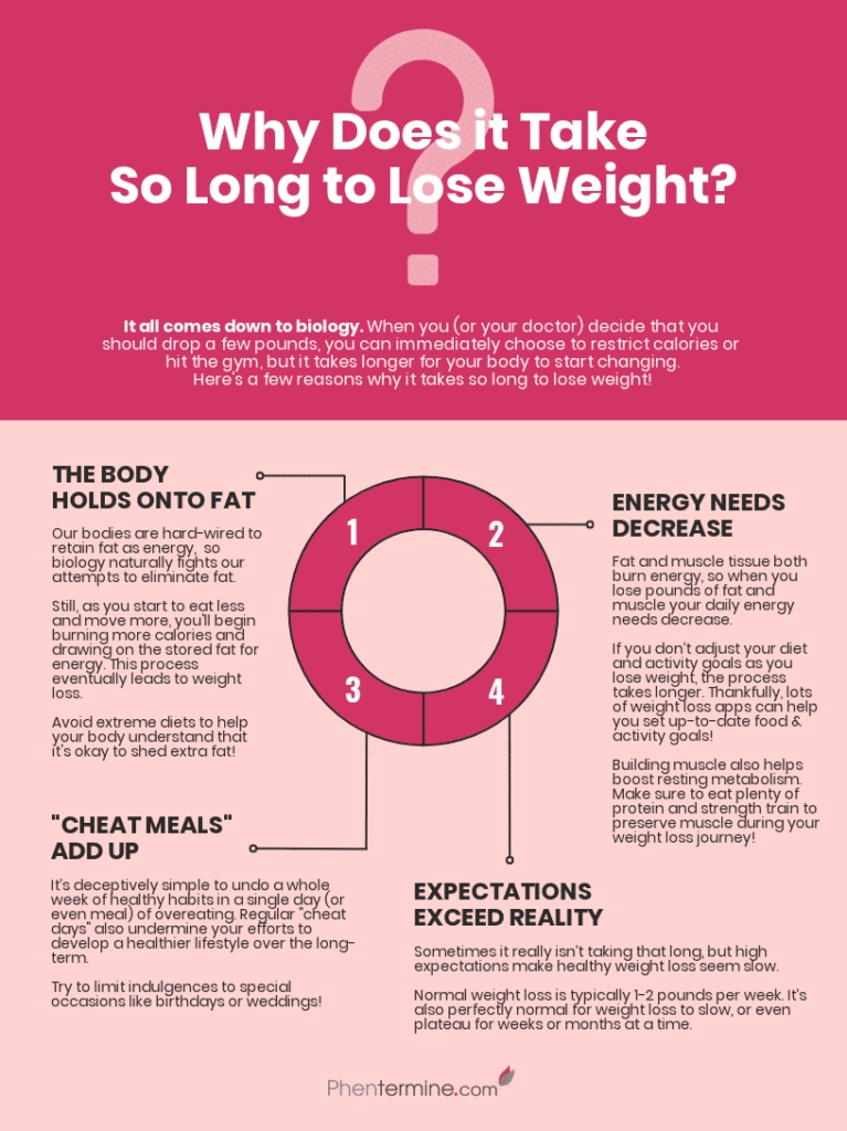 Why It Takes So Long to Lose Weight - Infographic